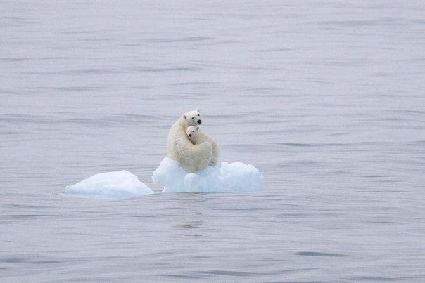 Svalbard Islands JW/LZ1UQ JW/LZ2HM