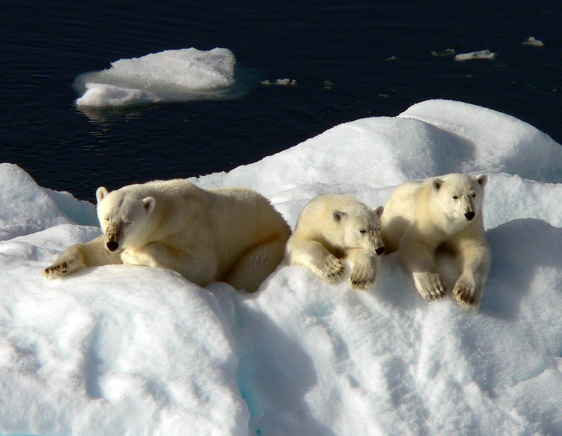 Svalbard Islands JW6VJA JW6VMA