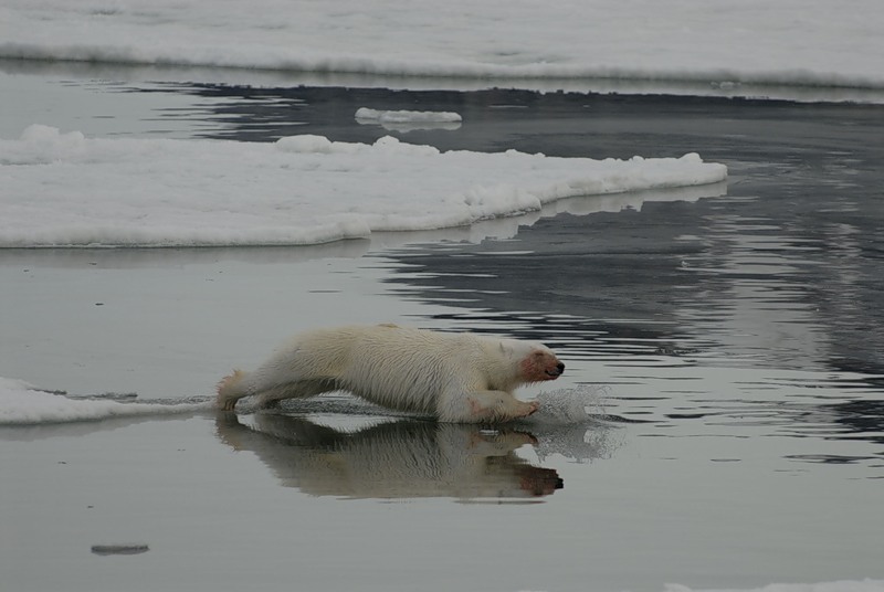 Svalbard Islands JW8OSA DX News