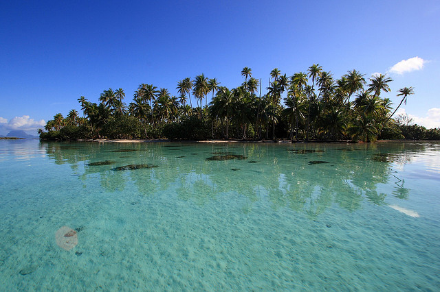 Tahaa Island French Polynesia FO/F6BCW