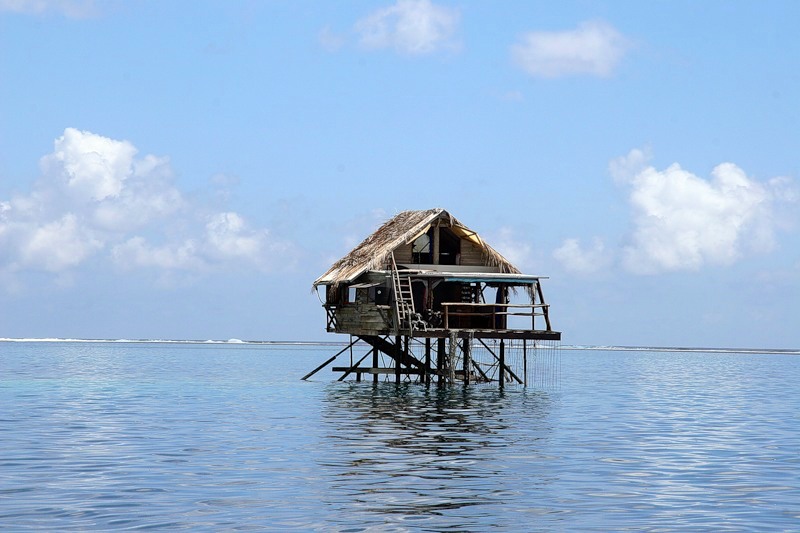 Tahiti TX6T