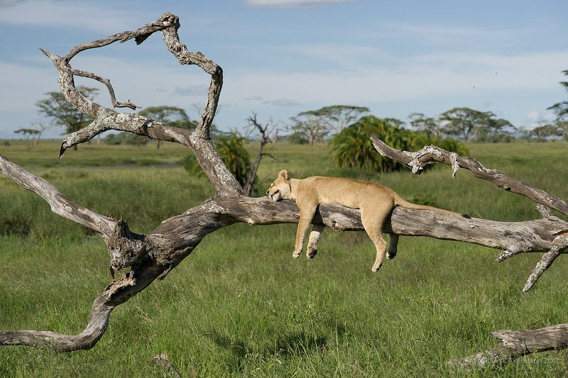 Tanzania 5H3ME 2012