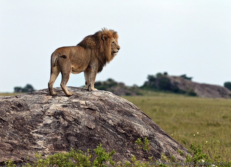 Tanzania 5H9CP DX News