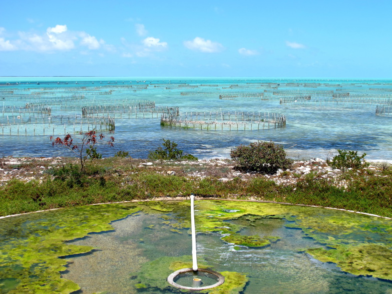 Turks and Caicos Islands VP5/KX4WW VP5/W9RN 