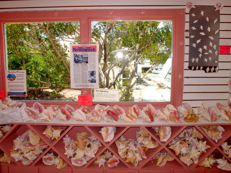 Turks and Caicos Islands VP5/KX4WW VP5/W9RN DX News