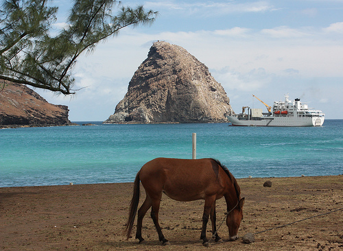 Ua Huka Island Marquesas Islands TX5VT