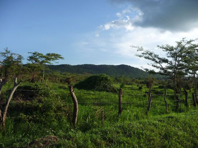 Uganda 5X1RO 13
