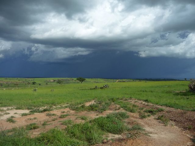 Uganda 5X1RO 17