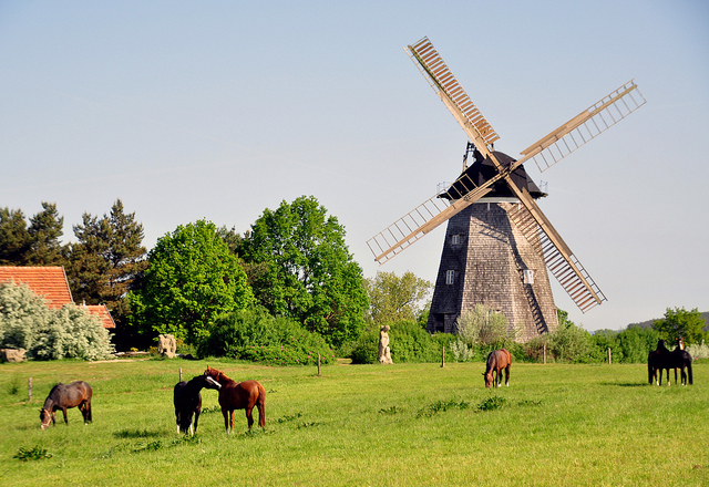 Usedom Island 2012