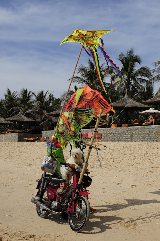 Vietnam XV9NPS